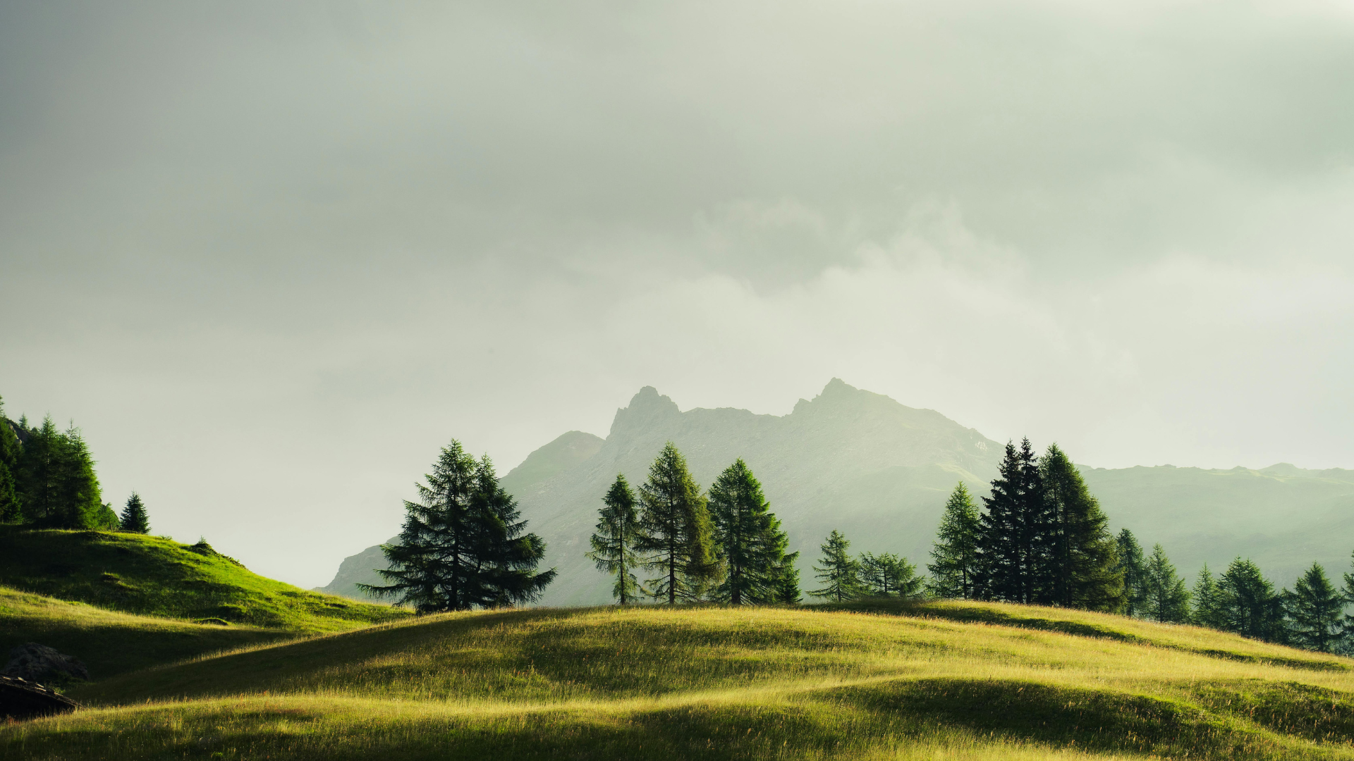Sustainability creates a better future